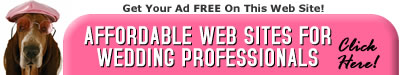 Affordable Web Sites for Wedding Professionals